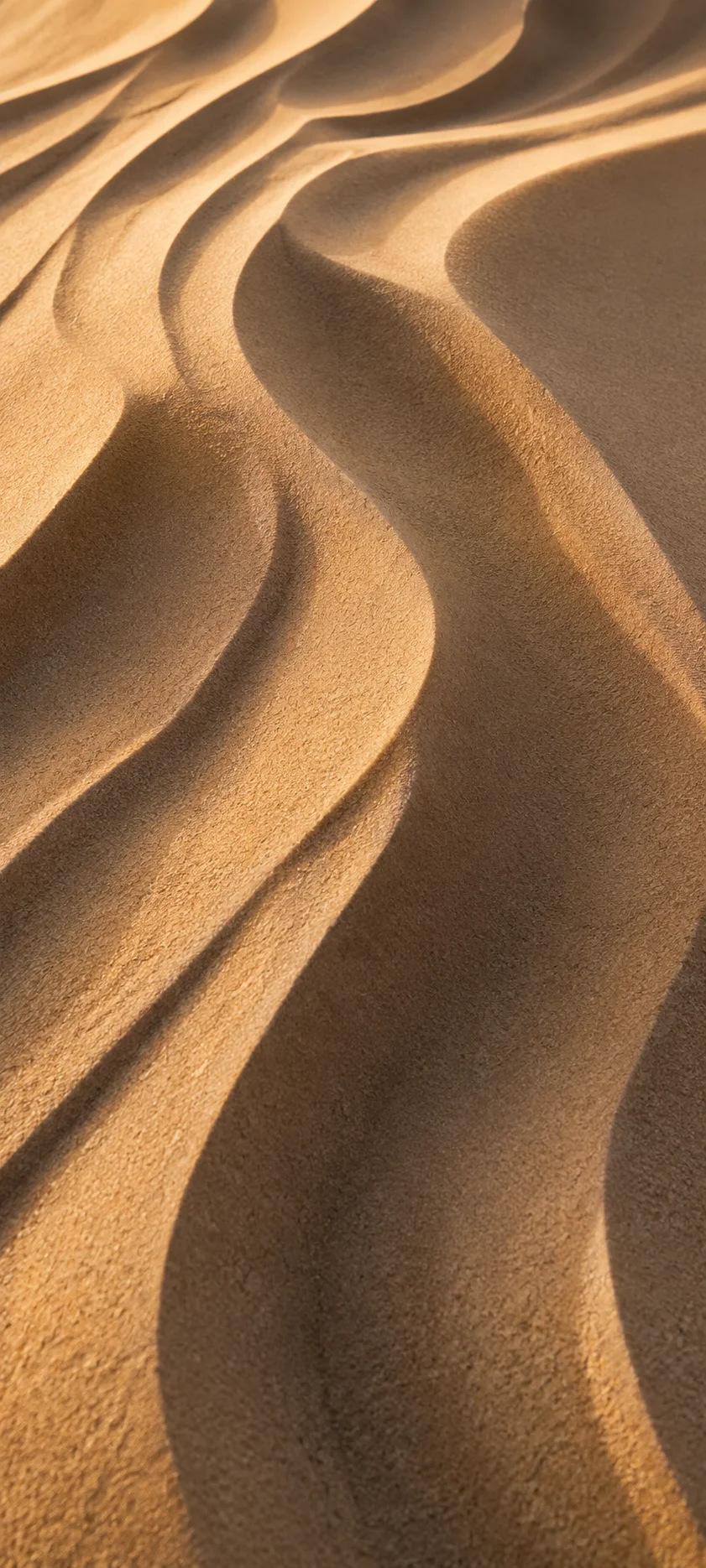 Golden Sand Dunes