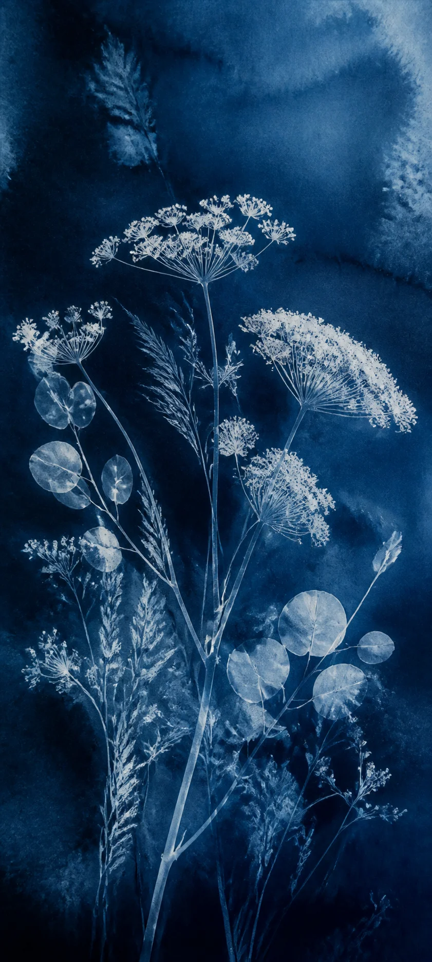 Gallery Edition Botanical Cyanotype