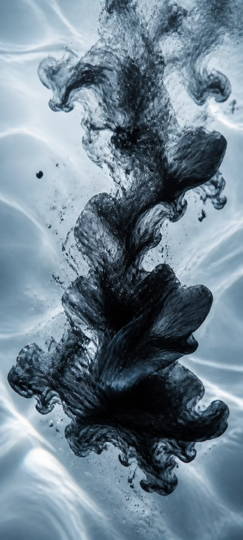 Gallery Edition Ink Bloom