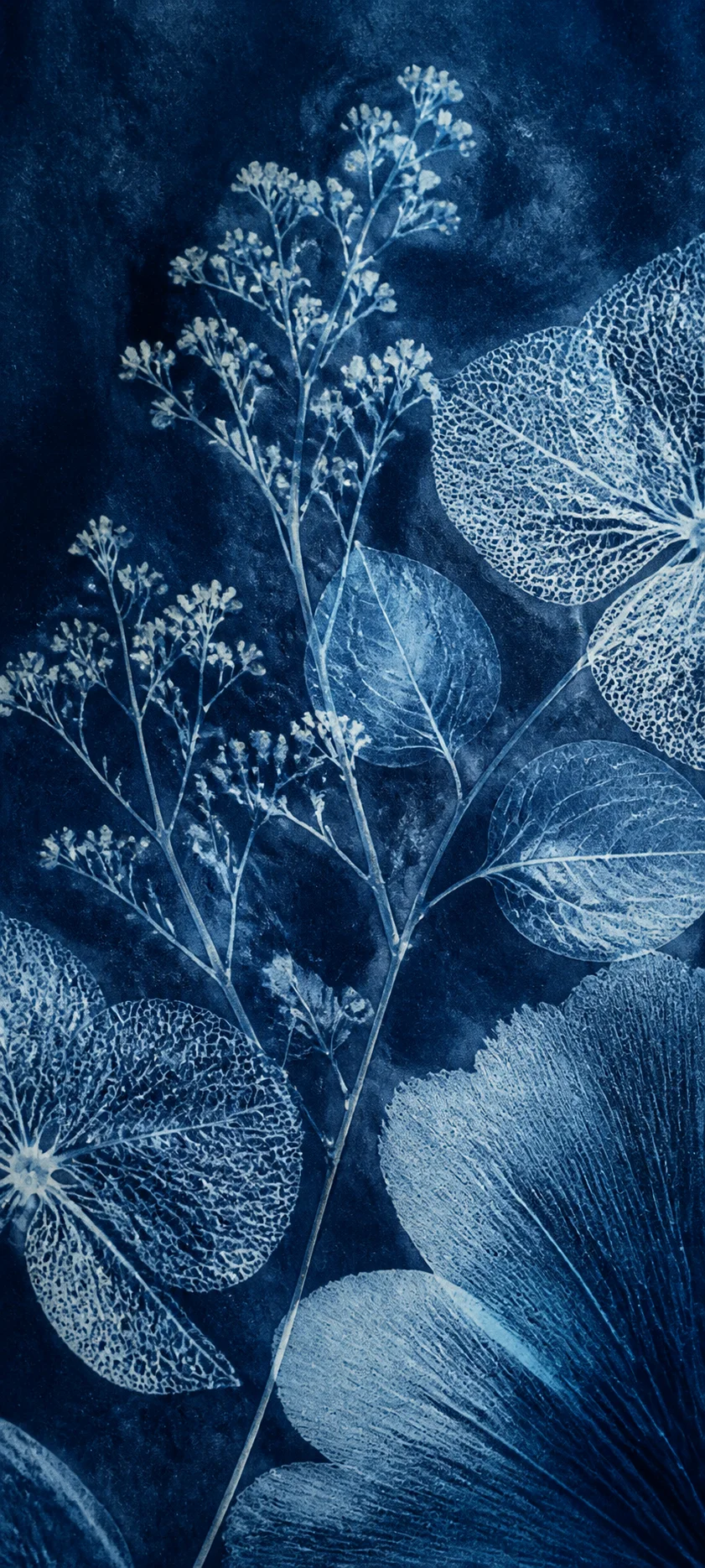 Material Study Botanical Cyanotype