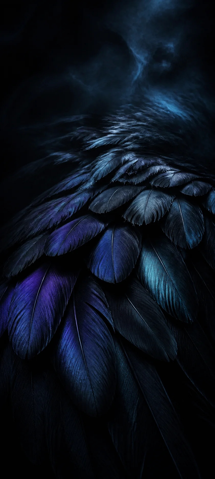 Epic Cinematic Black Feathers