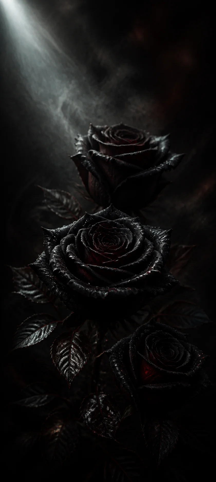 Epic Cinematic Onyx Roses