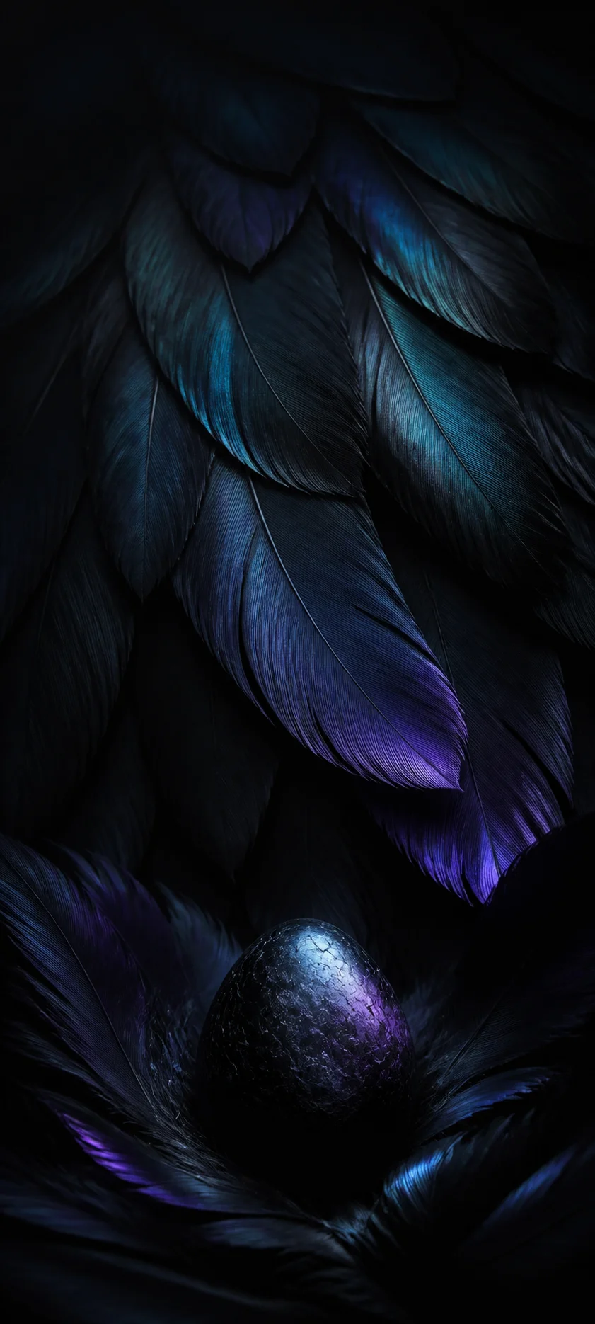 Minimal Iconic Black Feathers