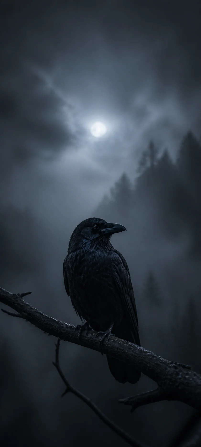 Minimal Iconic Raven In Fog