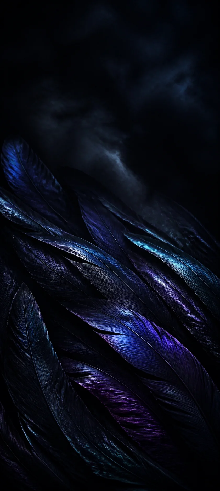 Moonlit Realm Black Feathers