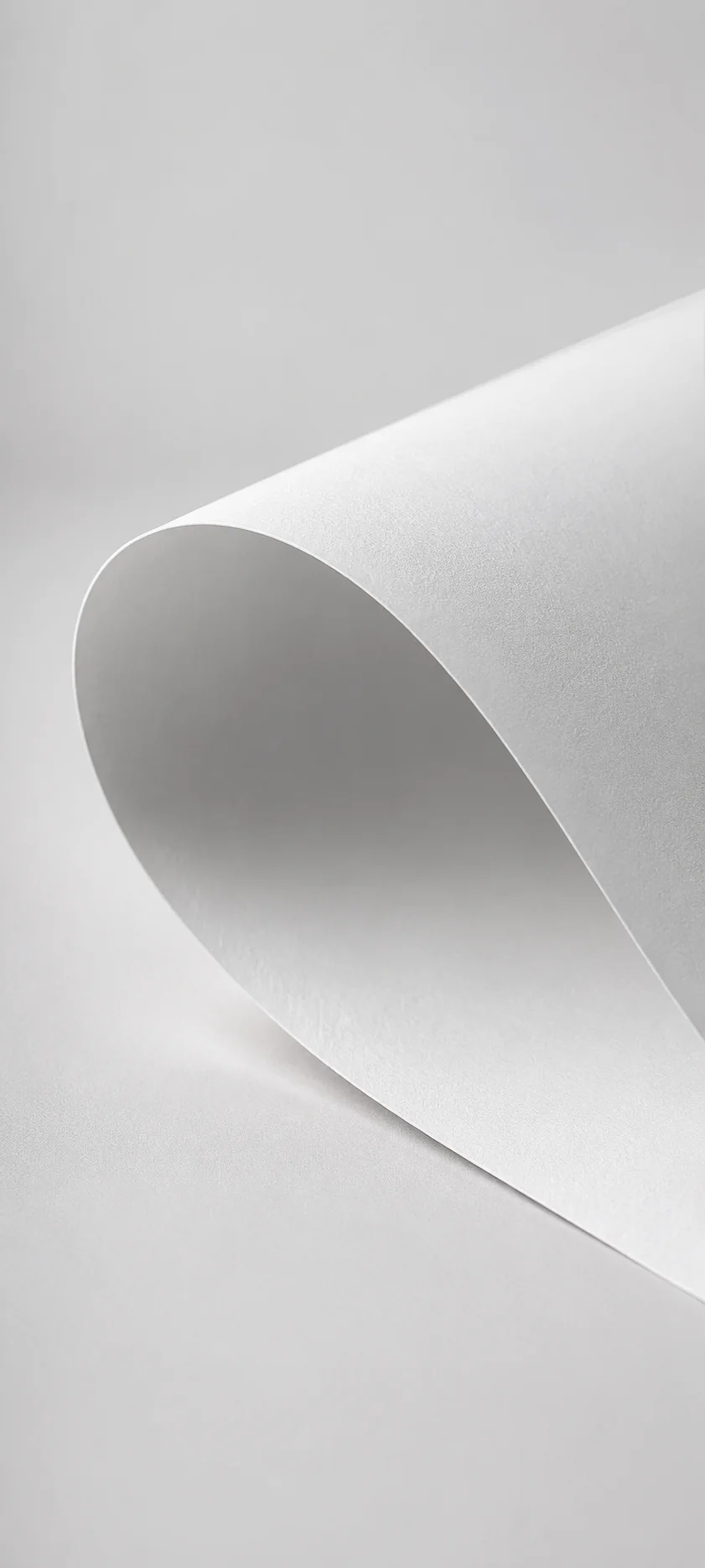 Curled White Paper Sheet