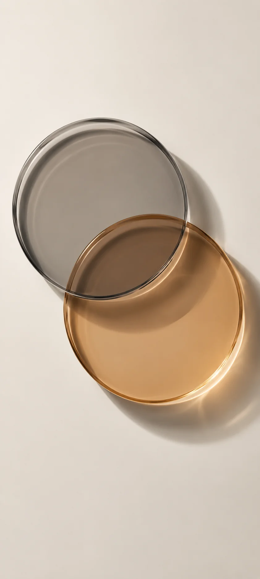 Overlapping Amber Gray Glass Discs
