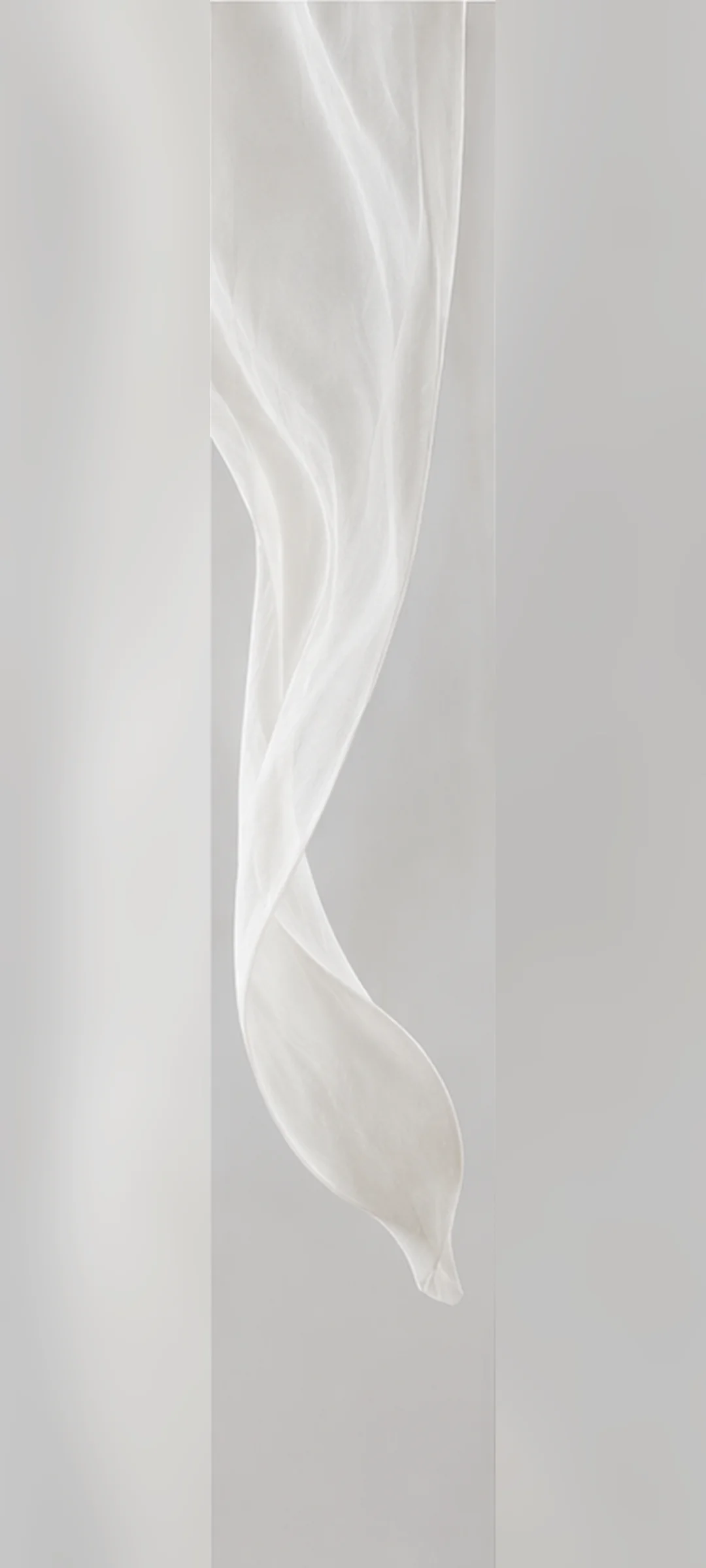 Translucent White Curtain Form