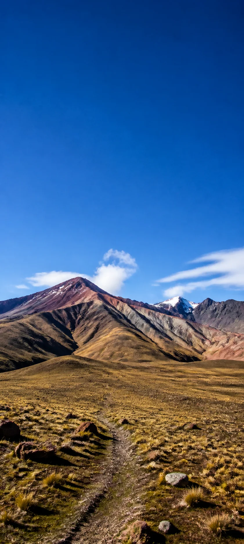 Andean High Plateau