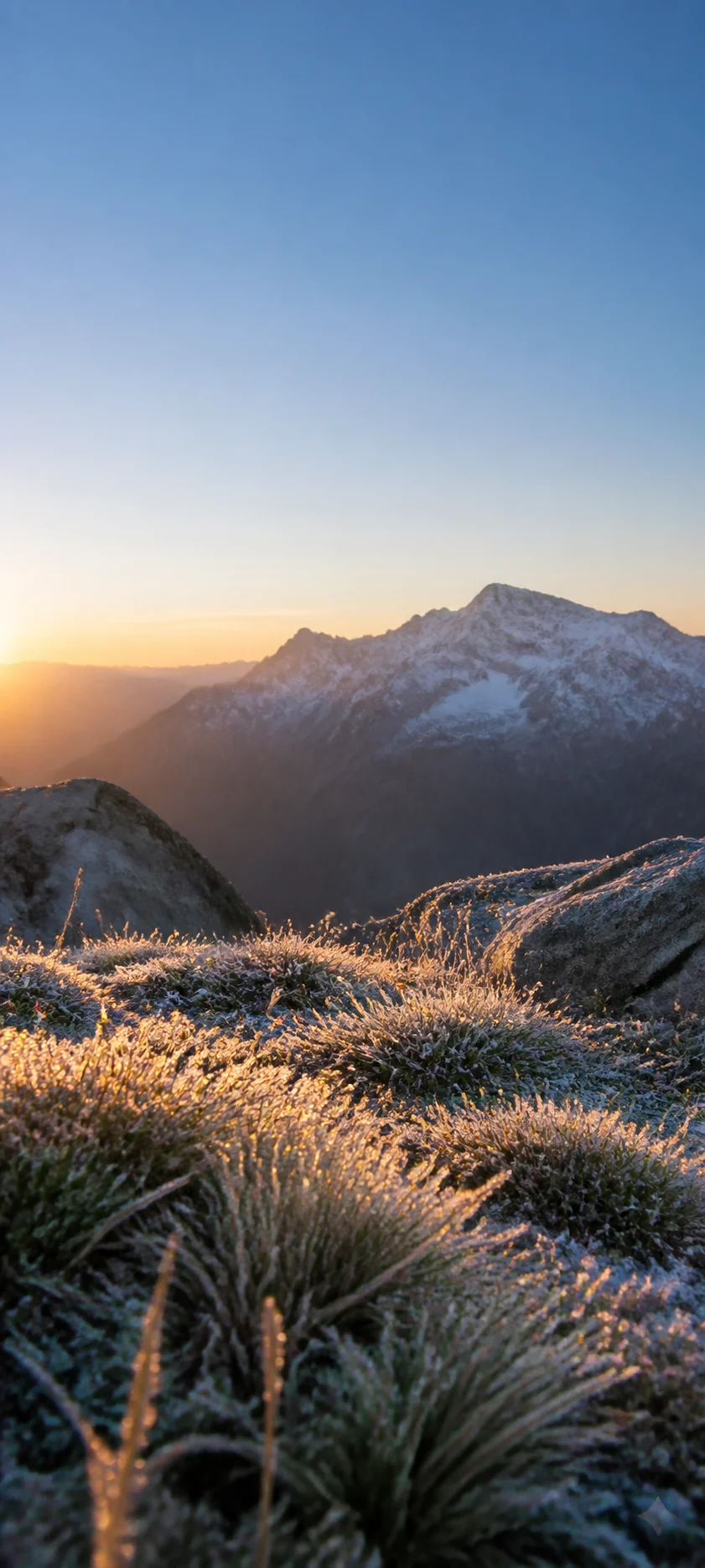 Dawn Frost Meadow