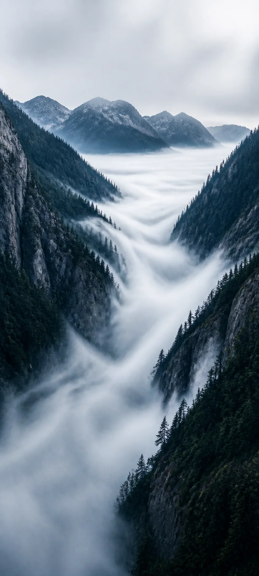 Fog Between Peaks