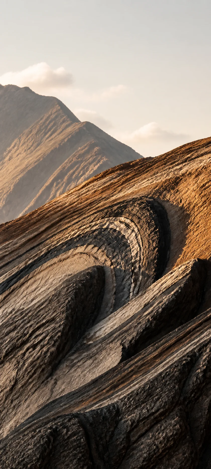 Folded Rock Strata