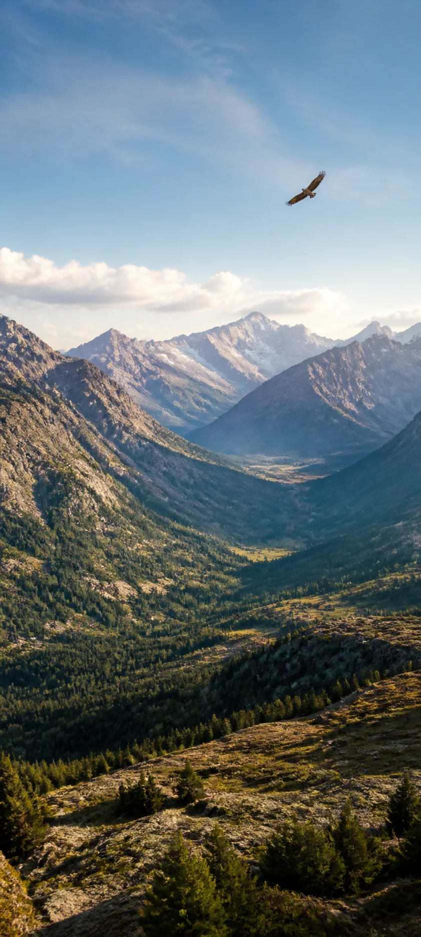 Golden Eagle Over Valley
