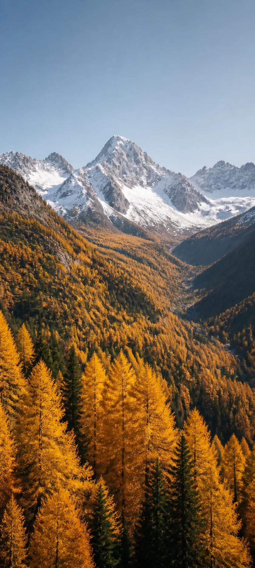 Golden Larch Mountain