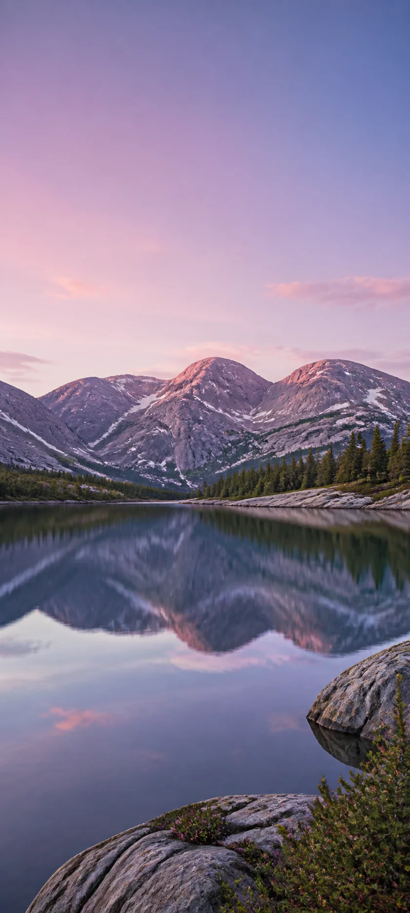 Lavender Alpine Dusk