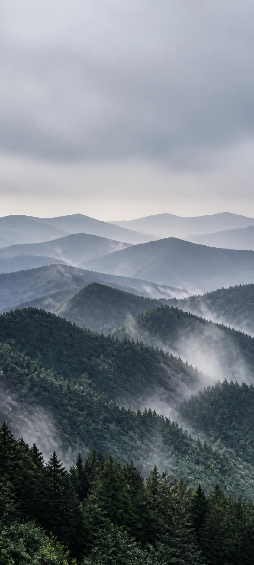 Misty Appalachian Layers
