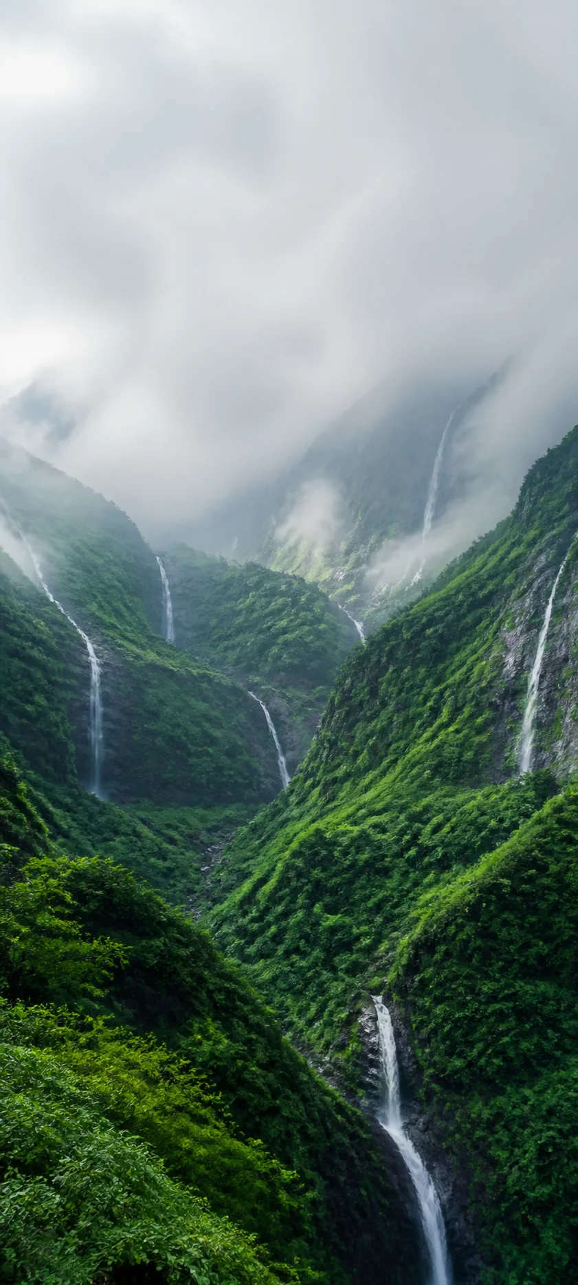 Monsoon Green Highlands