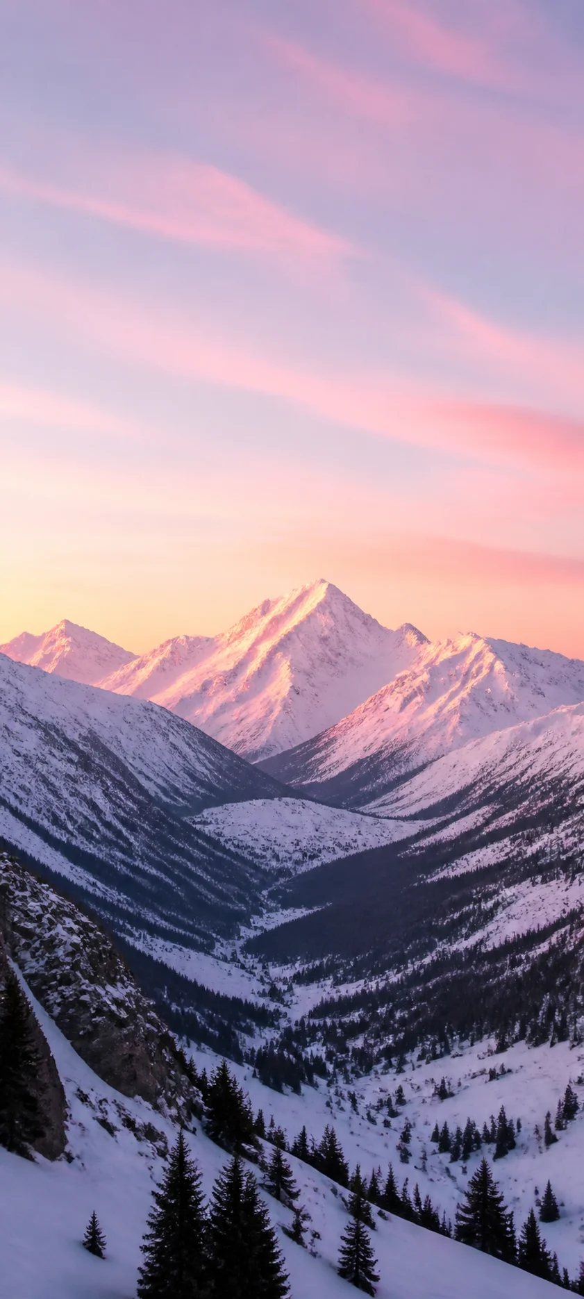 Pink Winter Sunrise