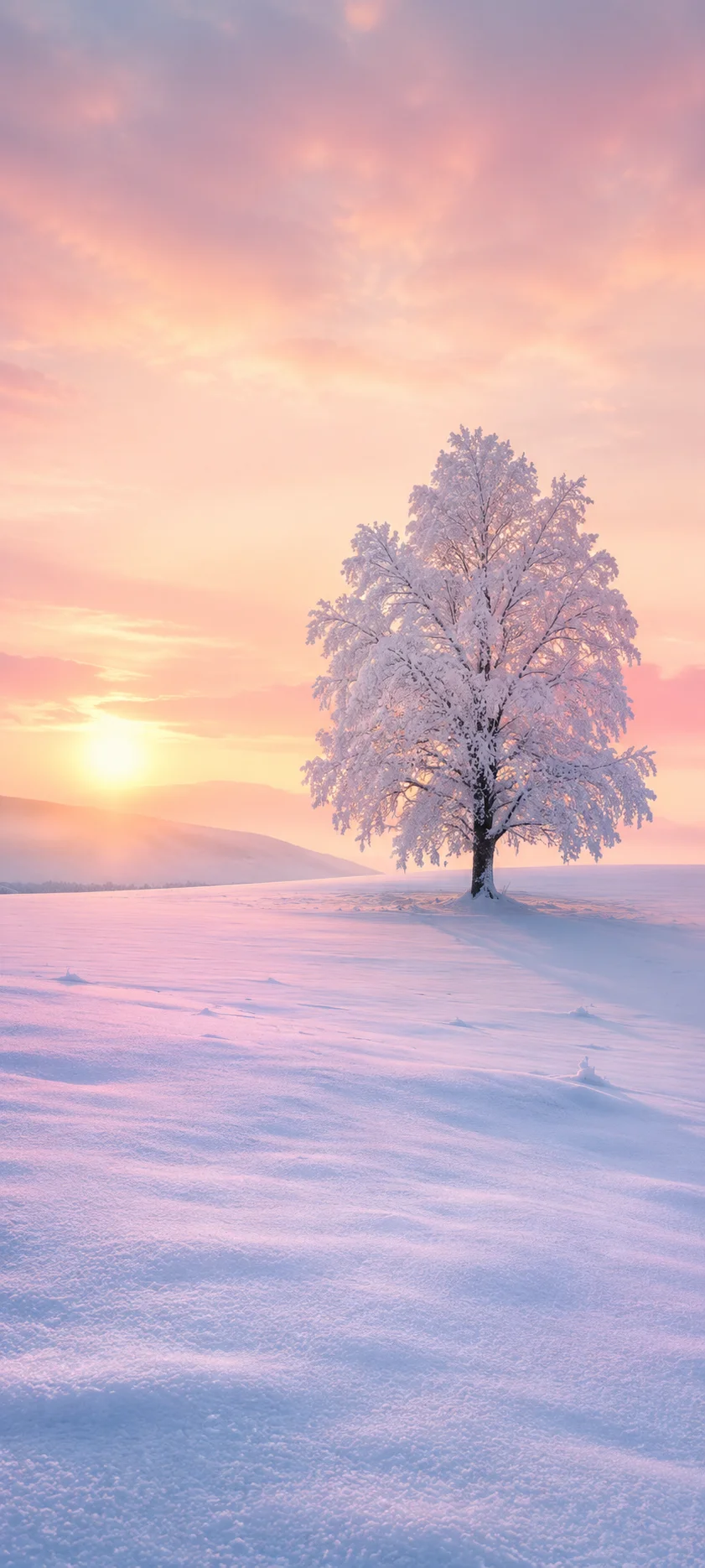 Lone Tree Snowy Sunset