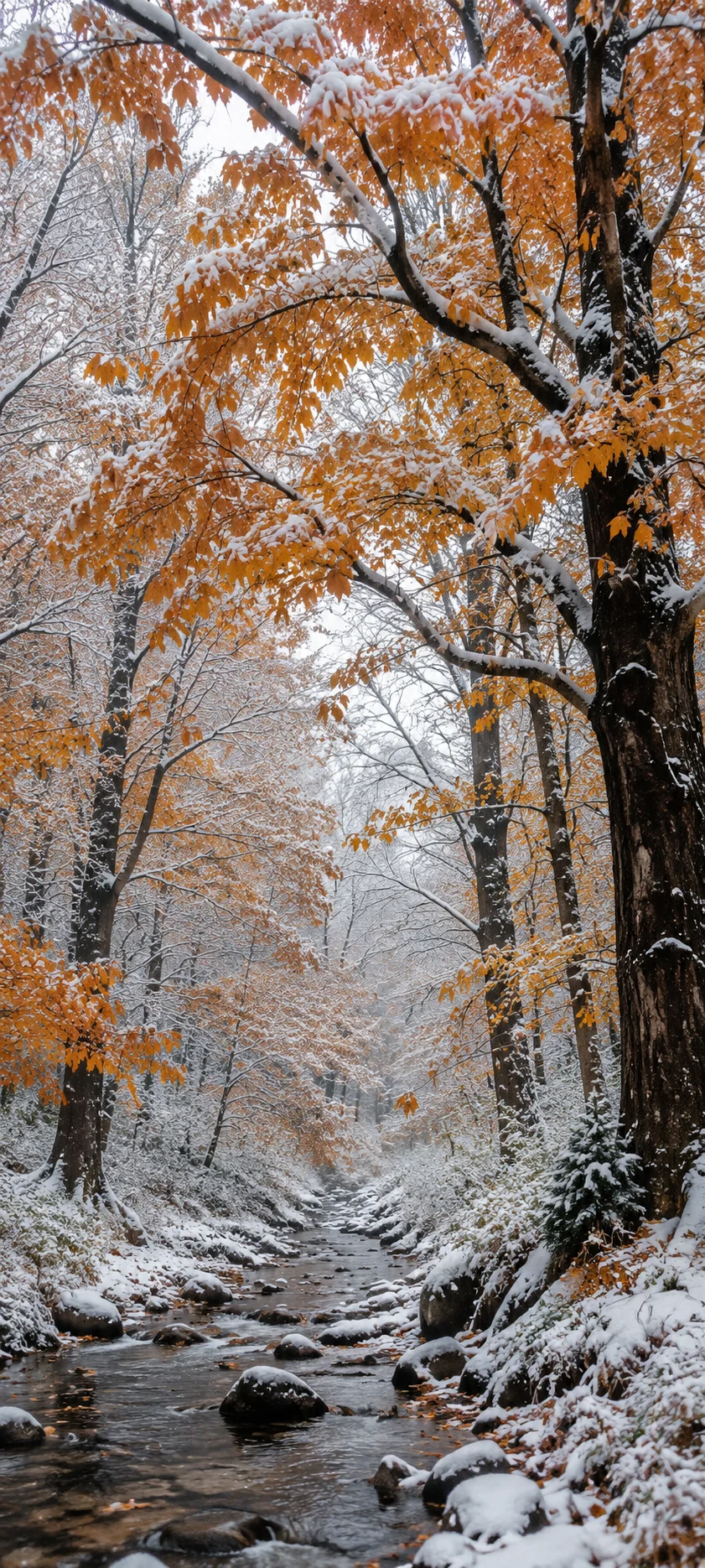 Snowy Autumn Forest
