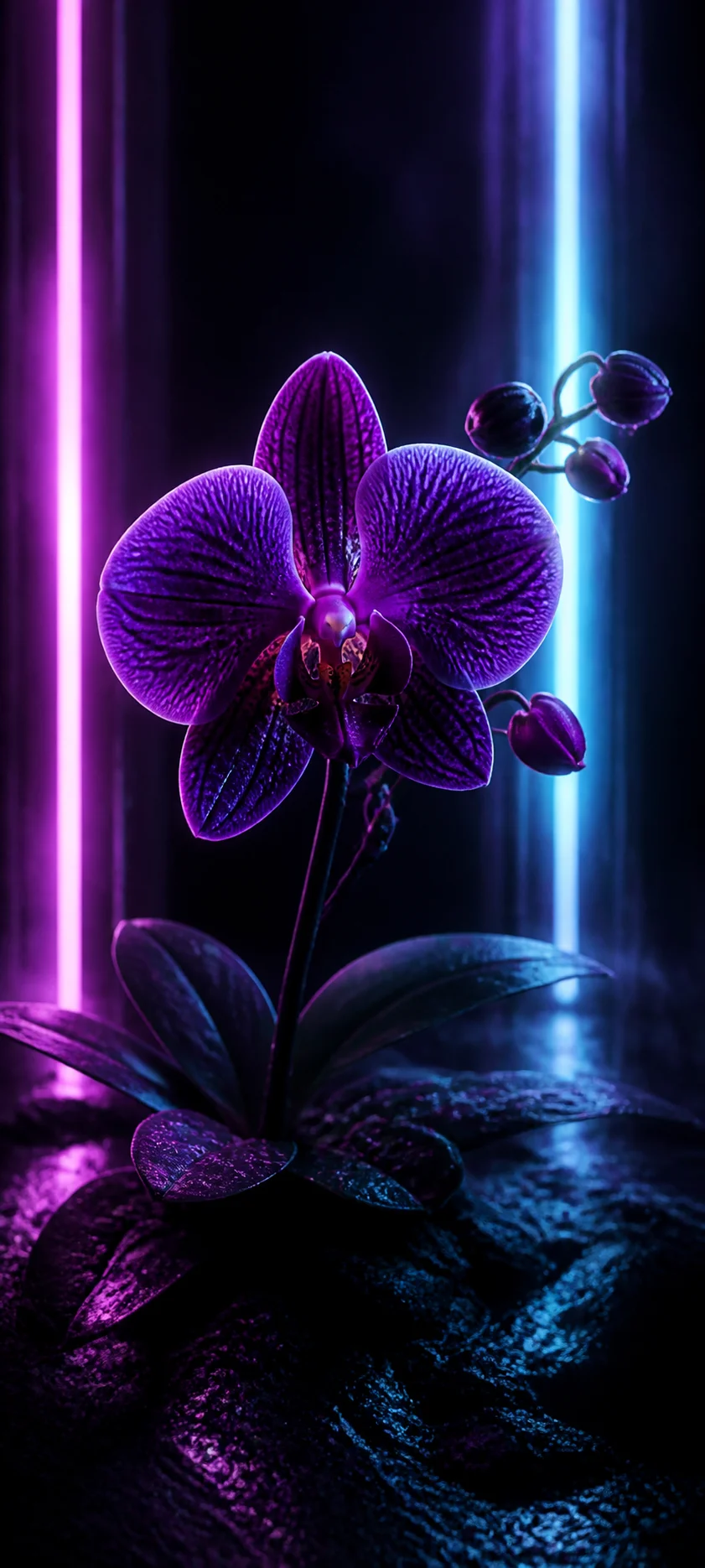 Epic Cinematic Electric Orchid