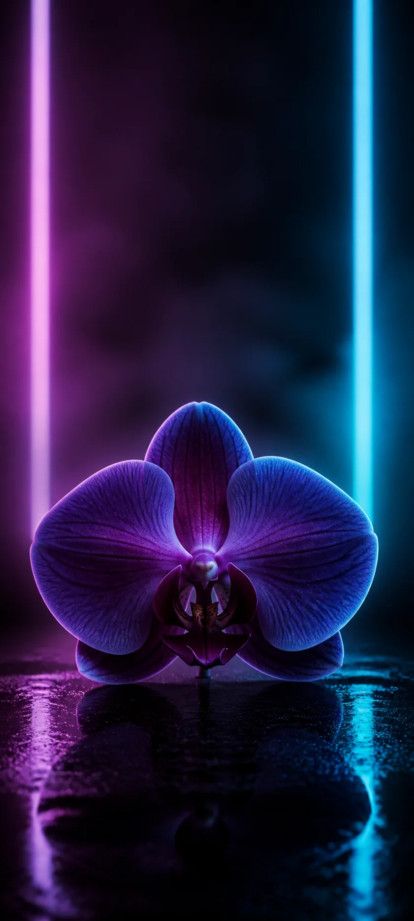 Minimal Iconic Electric Orchid