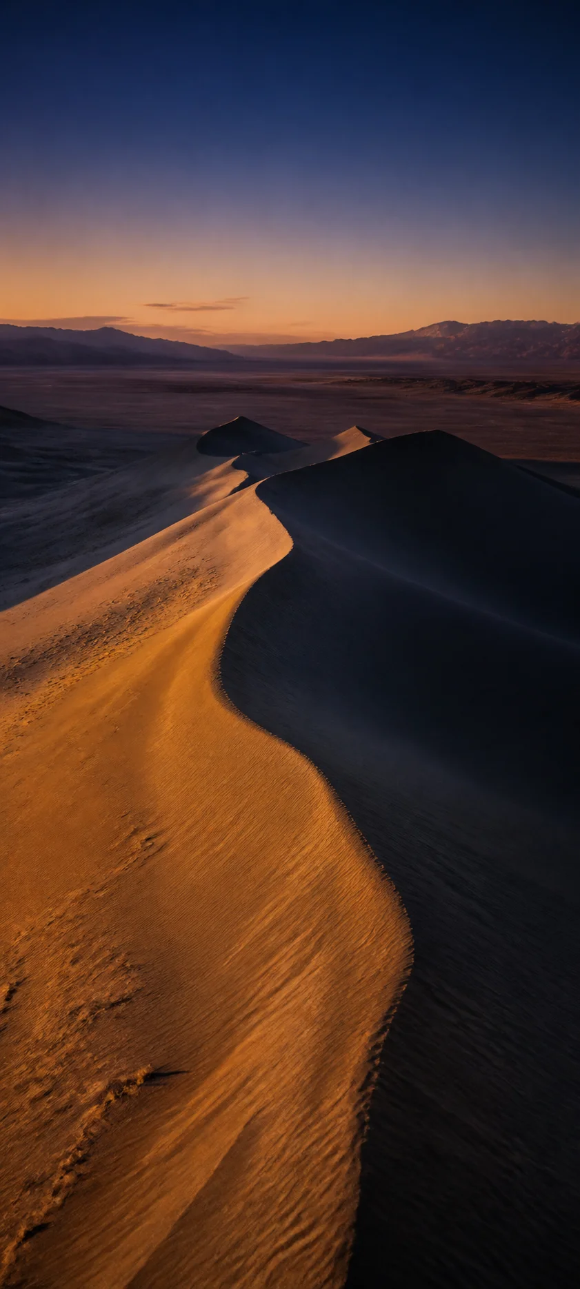 Blue Hour Dune Shadow