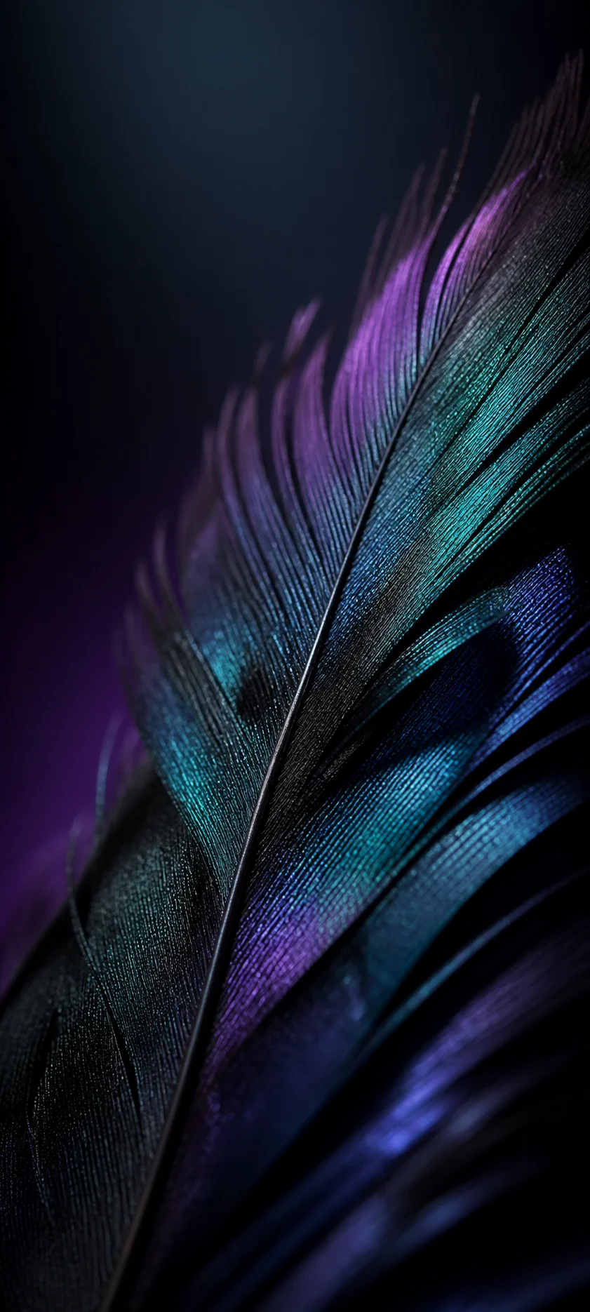 Blue Hour Macro Feather