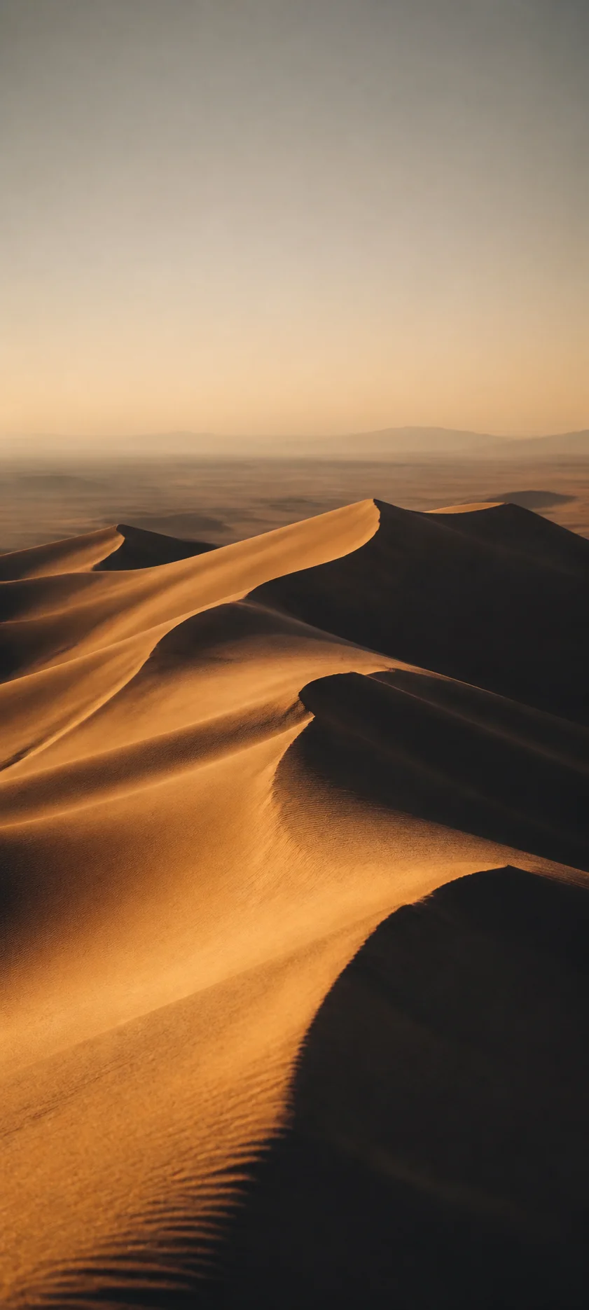 Cinematic Dawn Dune Shadow