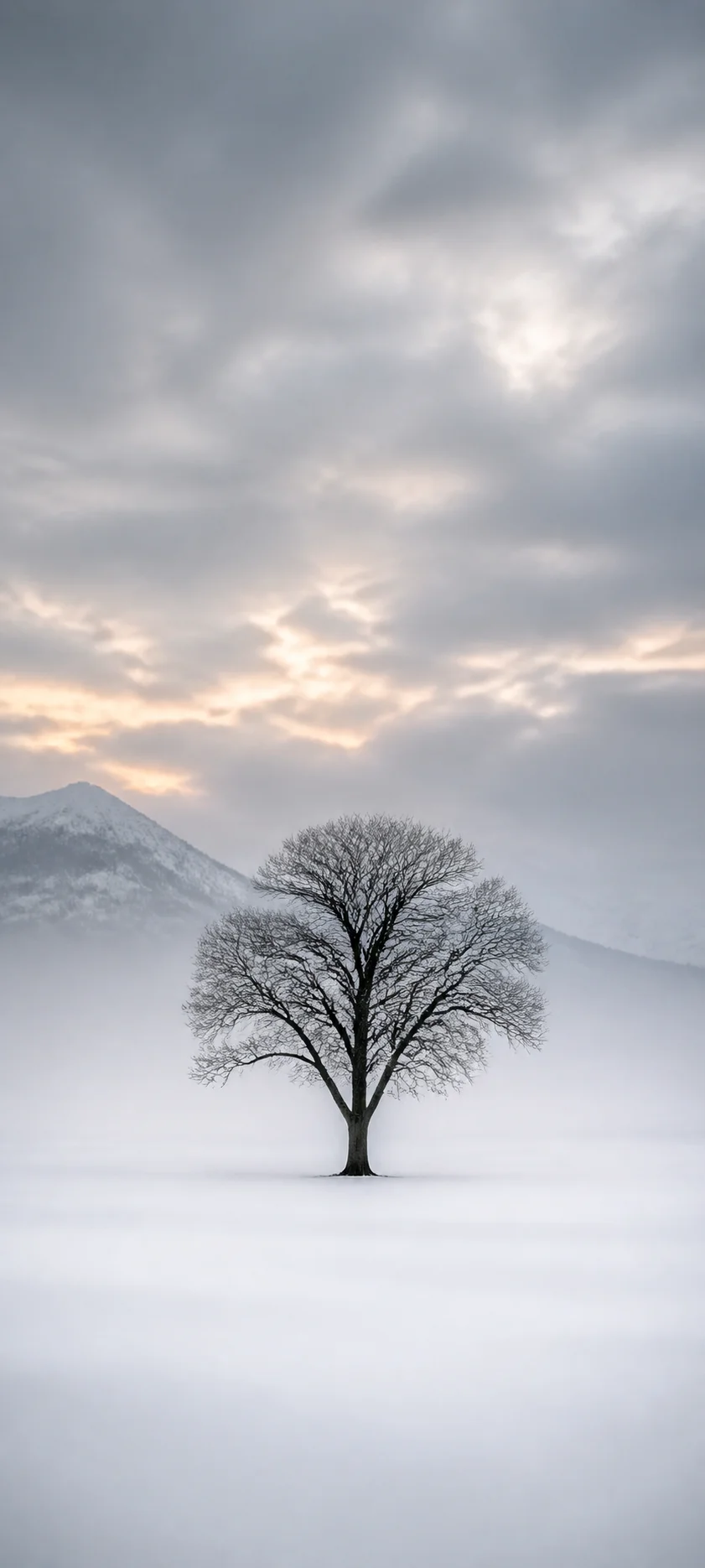 Cinematic Dawn Snow Minimalism
