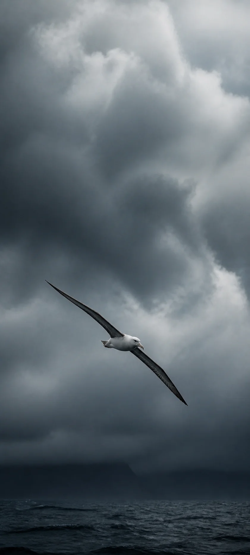 Cinematic Dawn Storm Bird