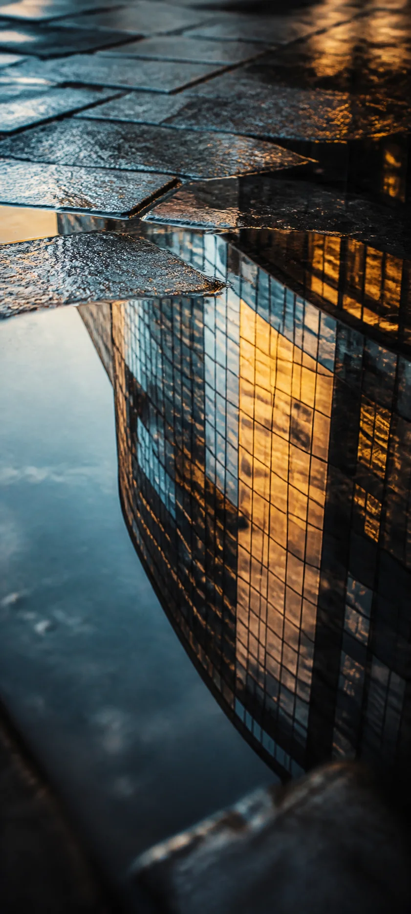 Editorial Detail City Reflection