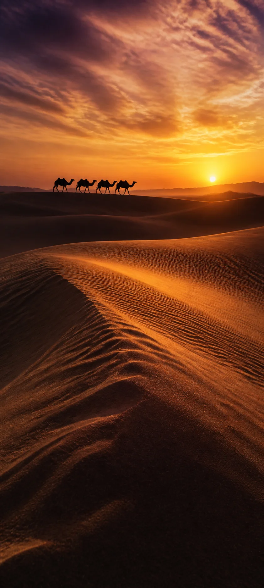 Editorial Detail Desert Caravan