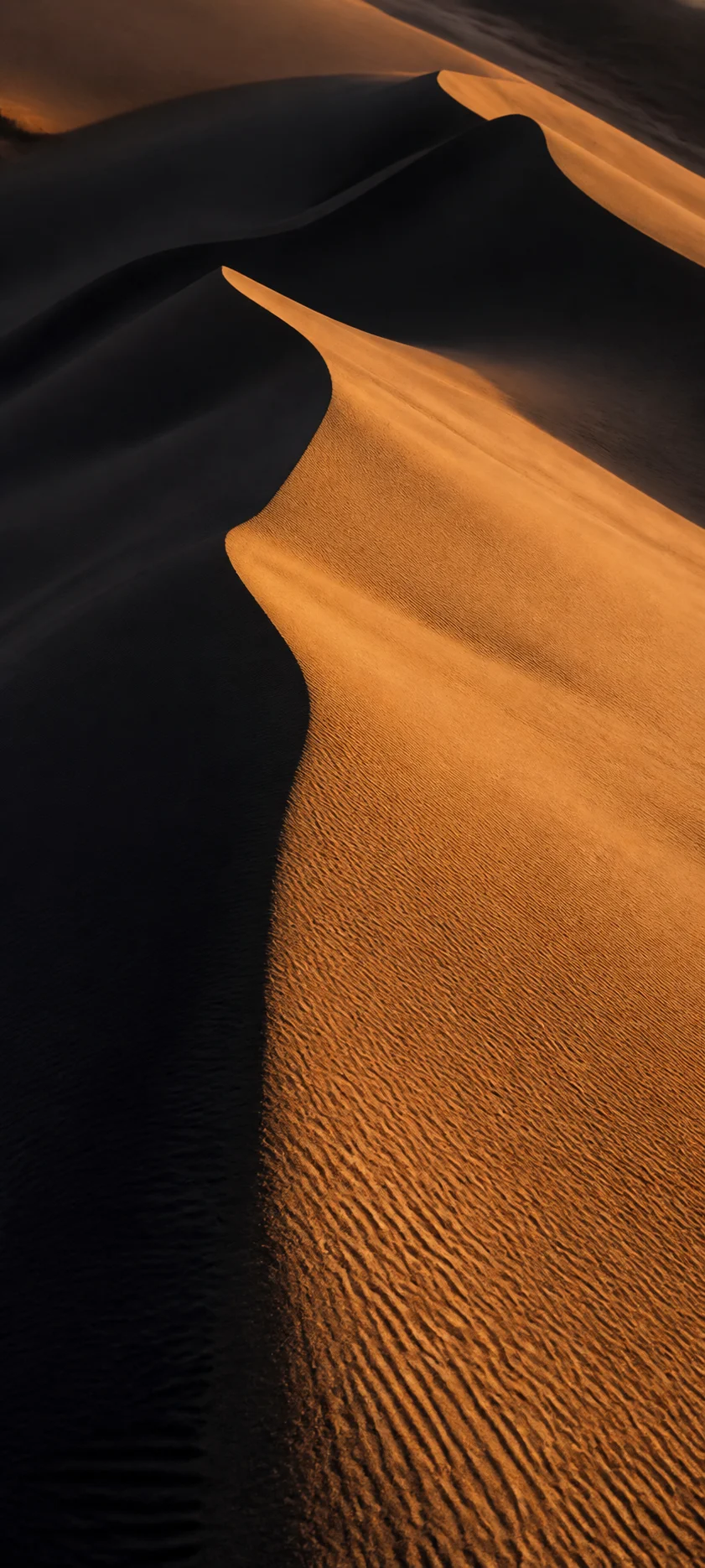 Editorial Detail Dune Shadow