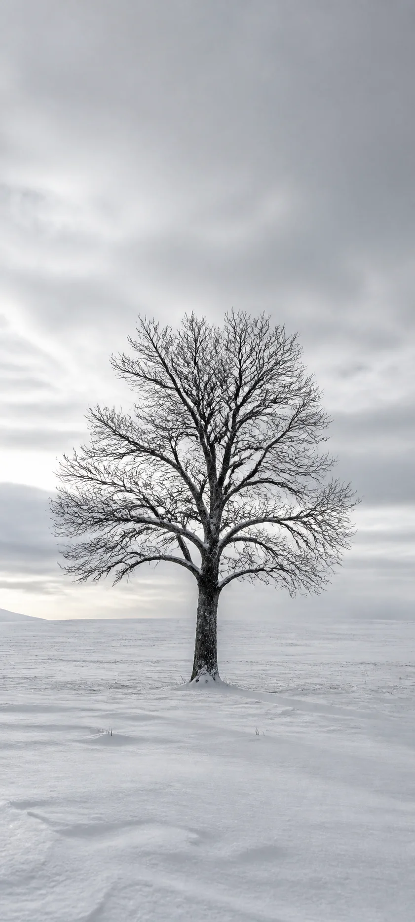 Editorial Detail Snow Minimalism
