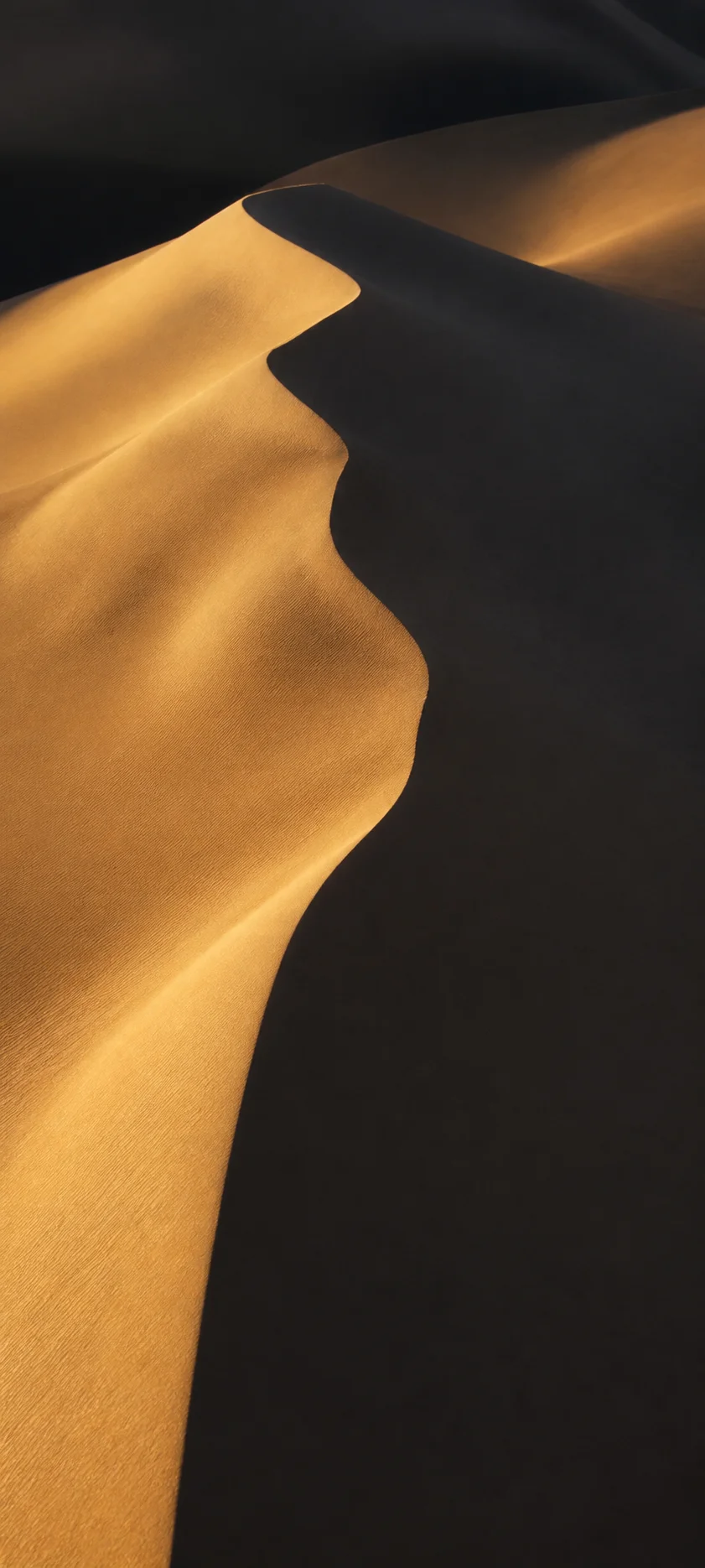 Minimal Luxe Dune Shadow