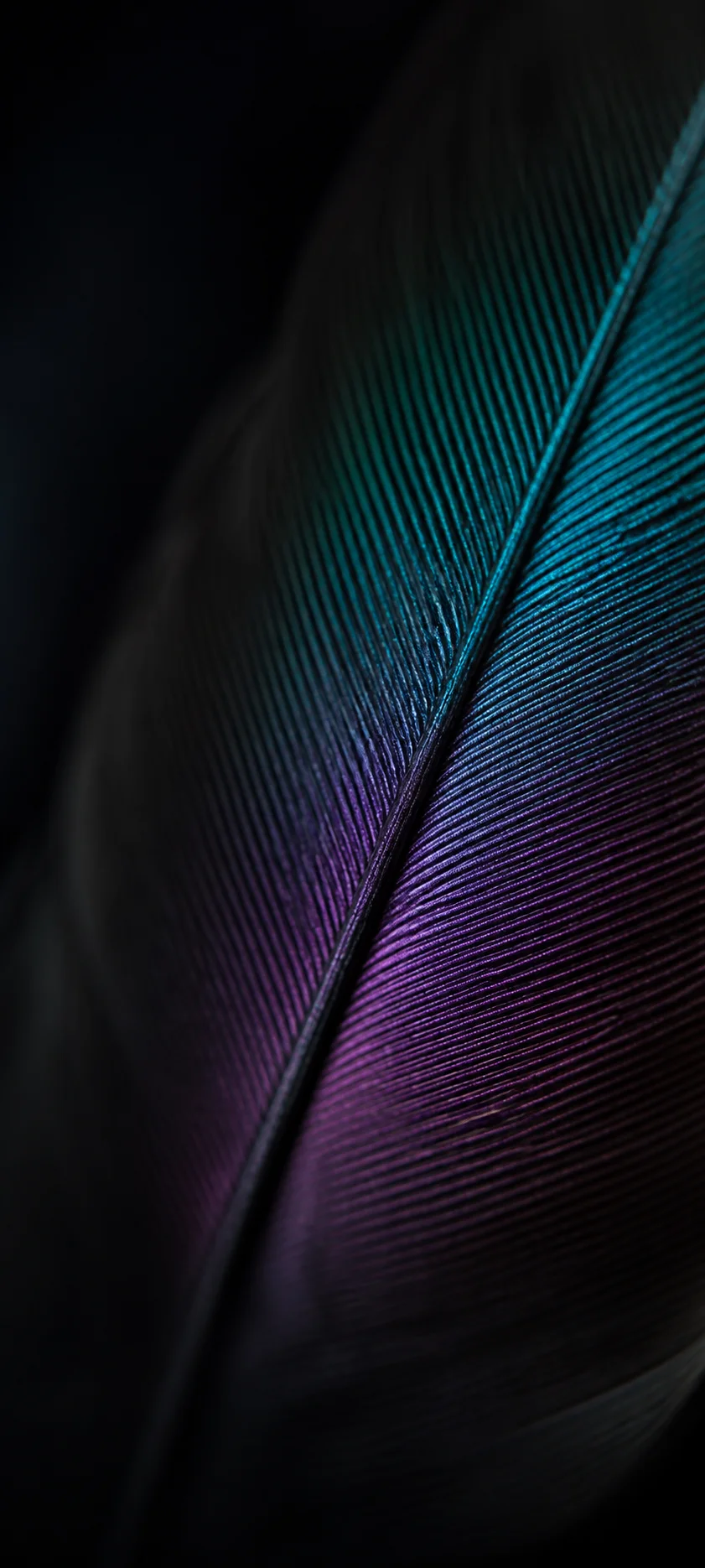 Minimal Luxe Macro Feather