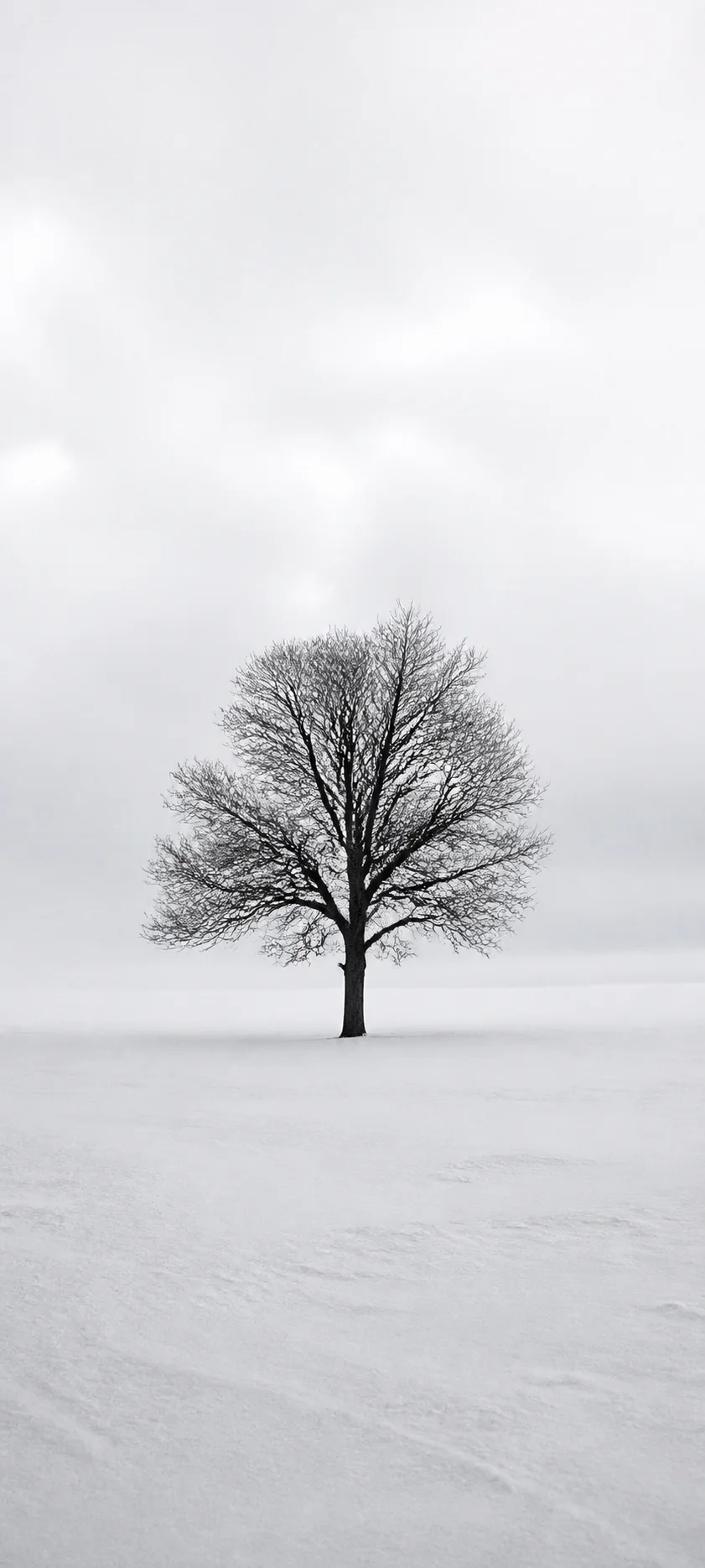 Minimal Luxe Snow Minimalism
