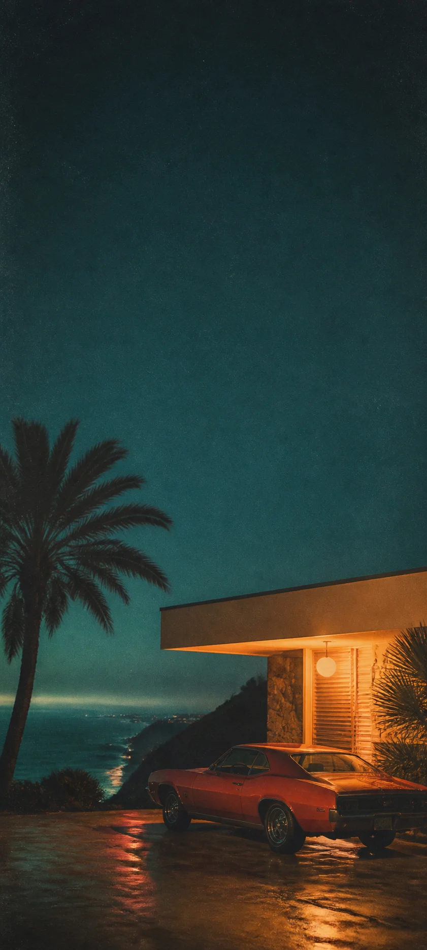 Analog Night Film Grain Coast