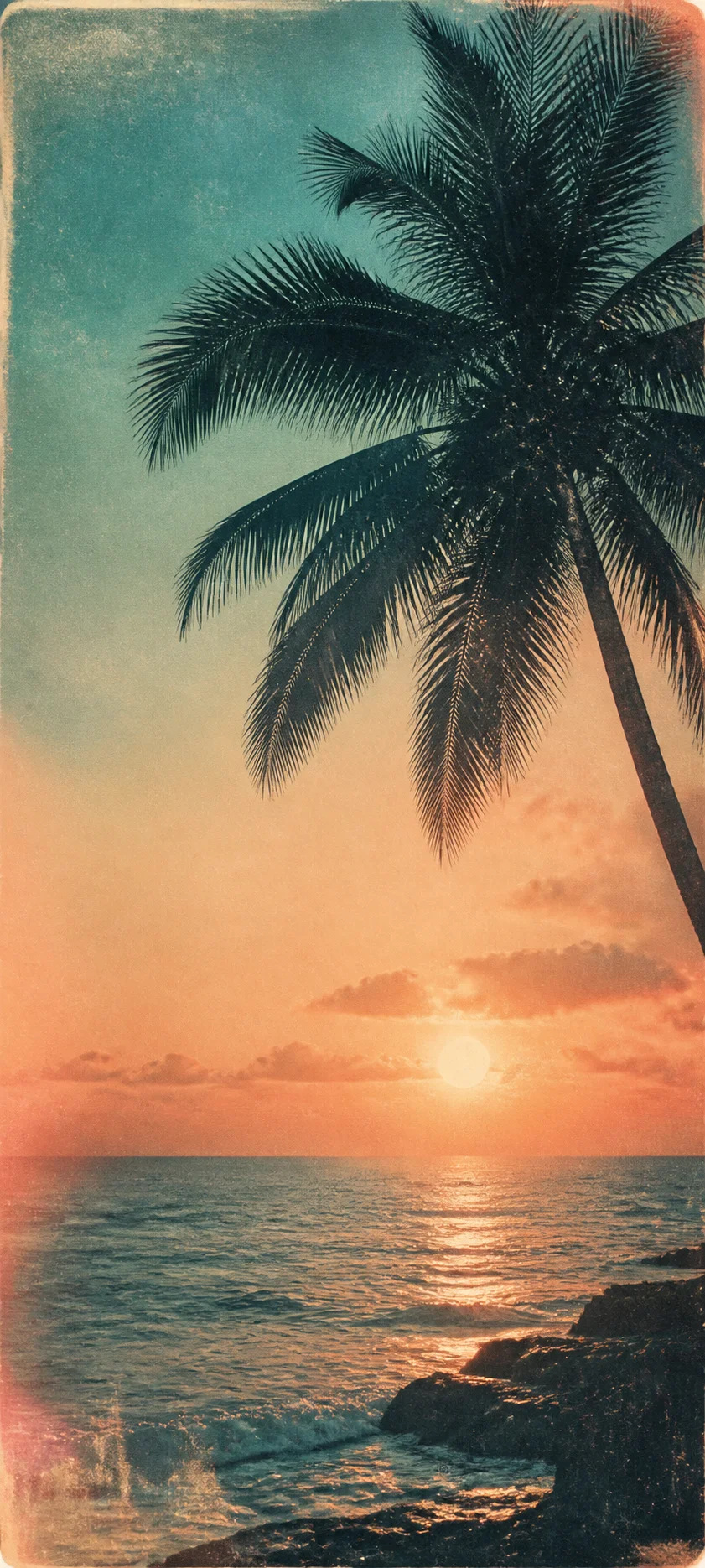 Authentic Print Polaroid Palms