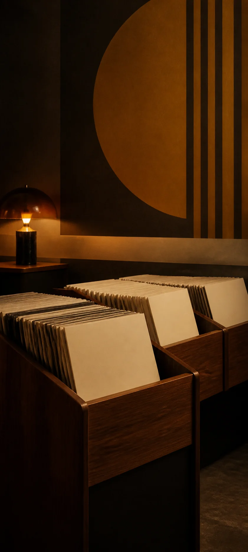 Retro Minimal Record Store