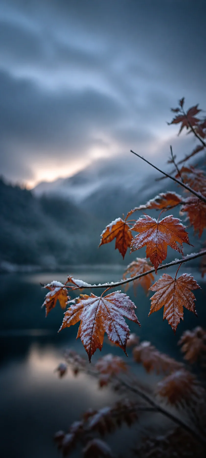 Blue Hour First Snow