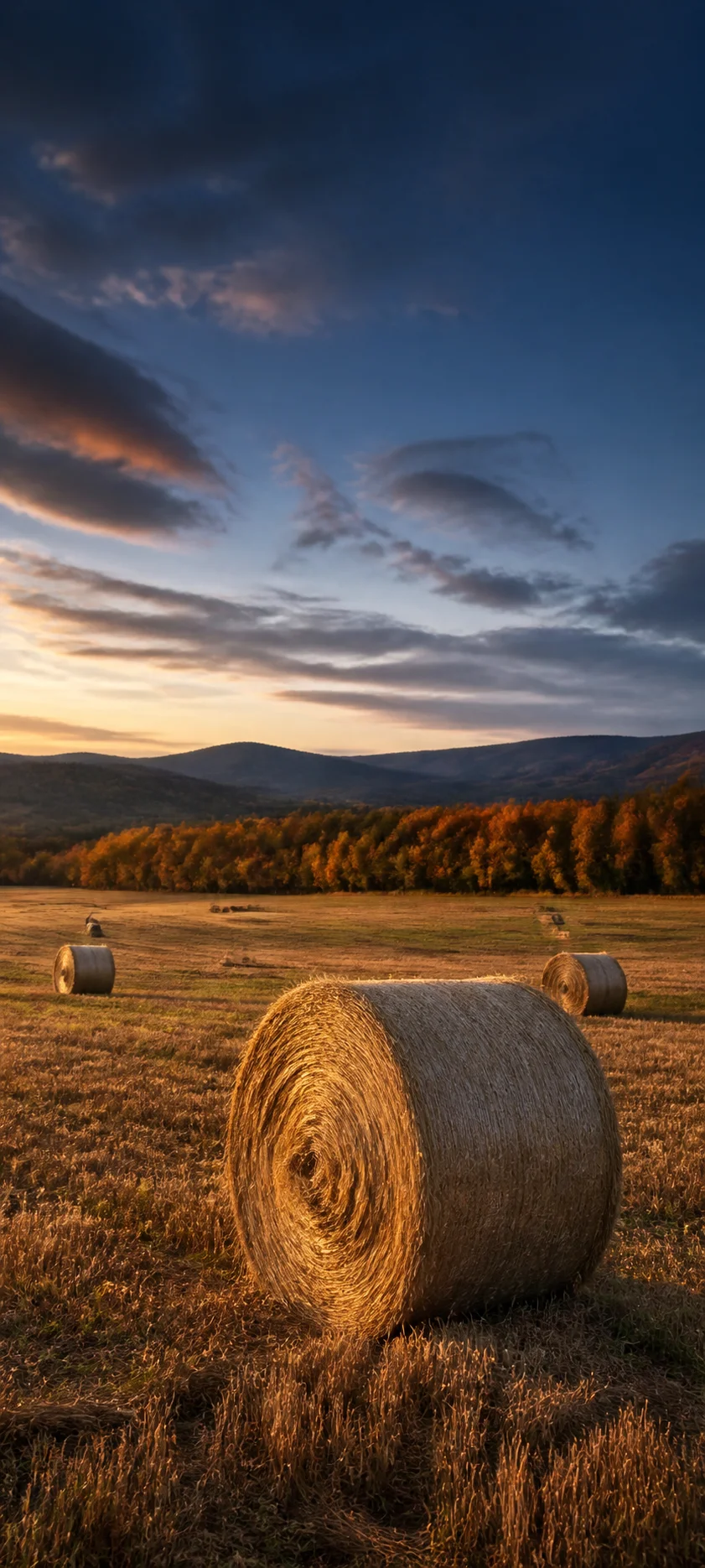 Blue Hour Harvest Field