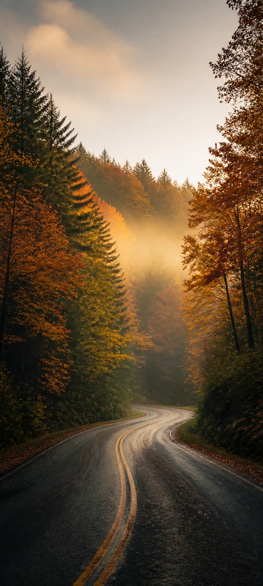 Cinematic Dawn Early Autumn Road