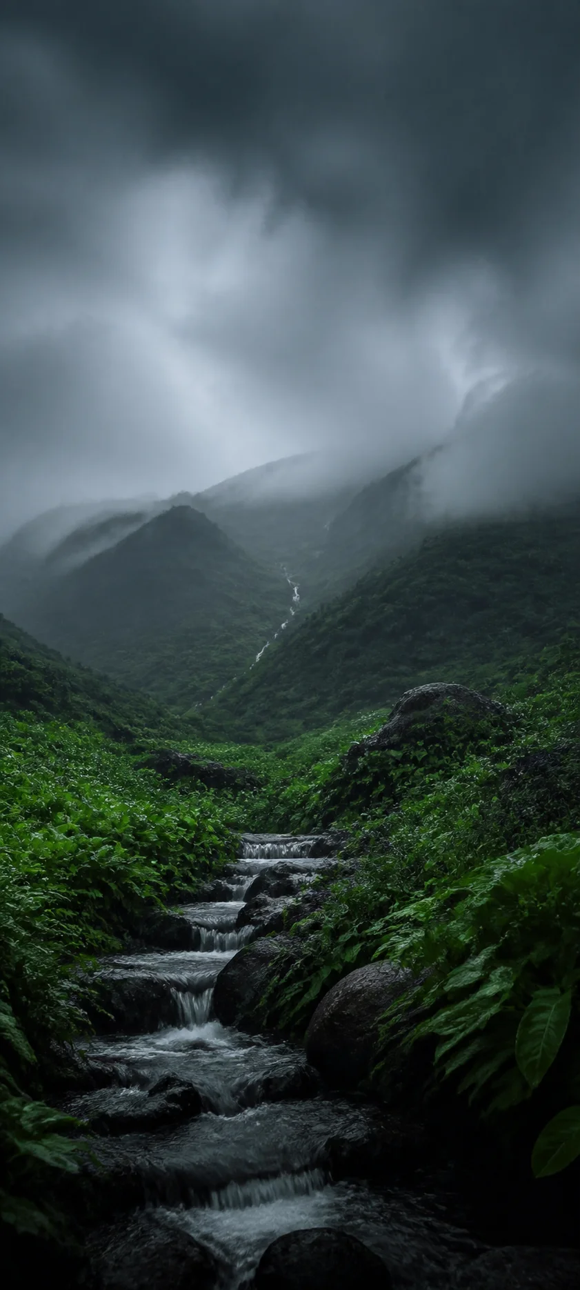 Cinematic Dawn Monsoon Summer