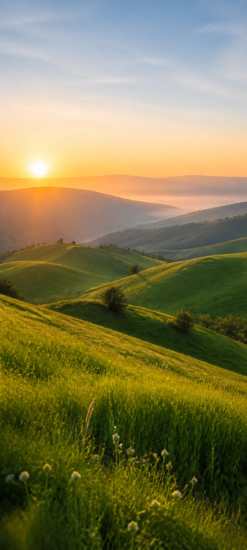 Cinematic Dawn Spring Sunrise