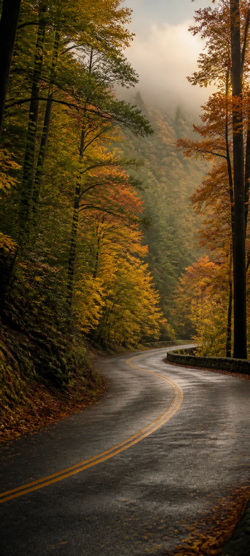 Editorial Detail Early Autumn Road