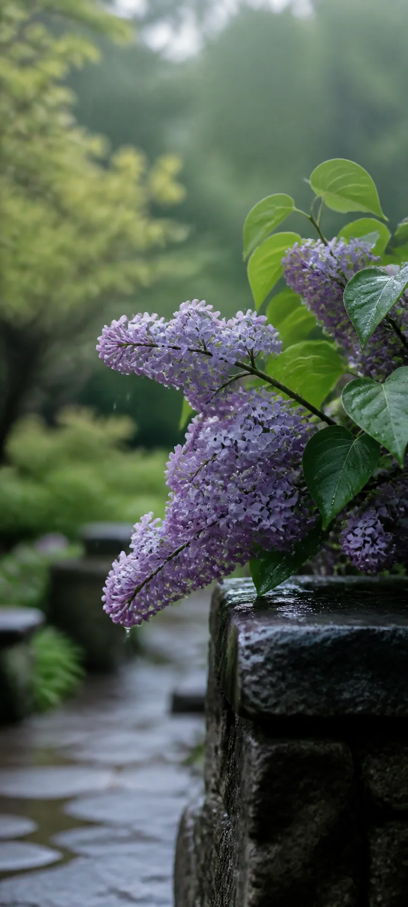 Minimal Luxe April Rain Garden
