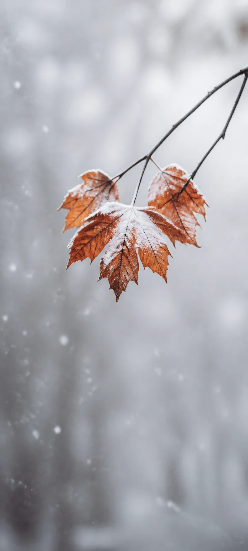 Minimal Luxe First Snow