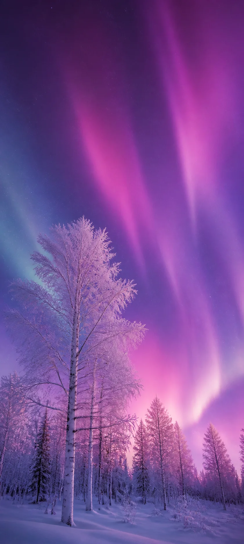 Cinematic Dawn Rose Aurora